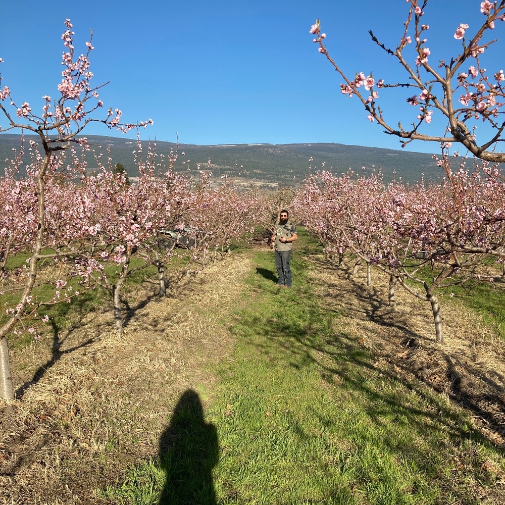 Meet your Posher, Michelle
